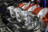 IMG_4251.JPG (221059 oCg)