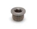 Oxygen Sensor Port Plug