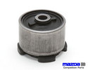 Competition Differential Mount