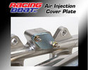 Exhaust Manifold Air Injection Cover Plate